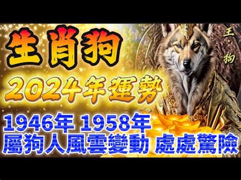 狗五行屬性|生肖狗五行屬什麼，運勢如何？